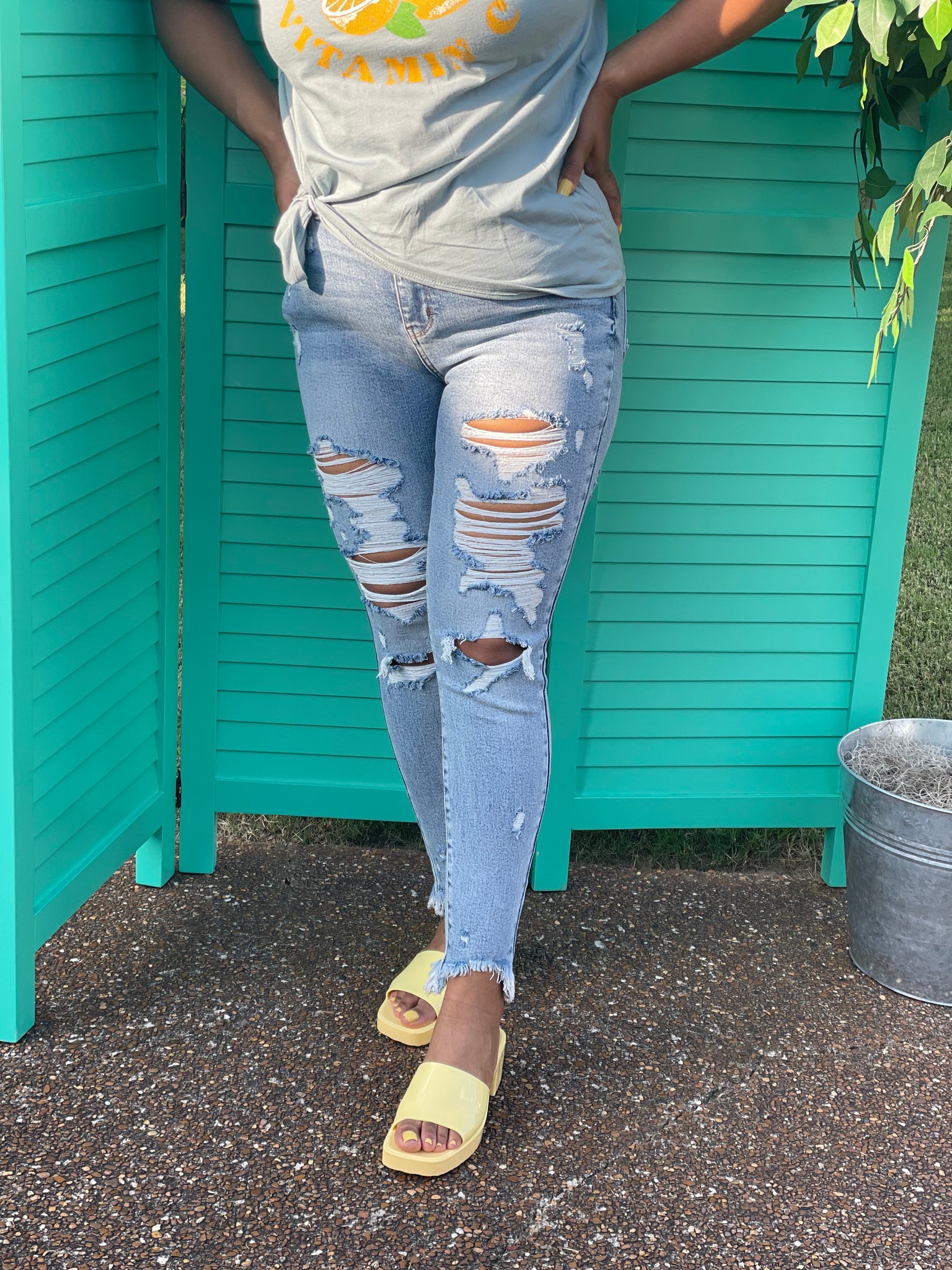 Demi Distressed Denim